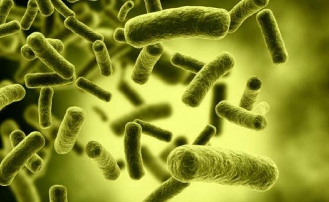 Diseñan nuevas terapias contra bacterias resistentes a antibióticos