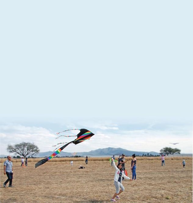 Foto: Guillermo González