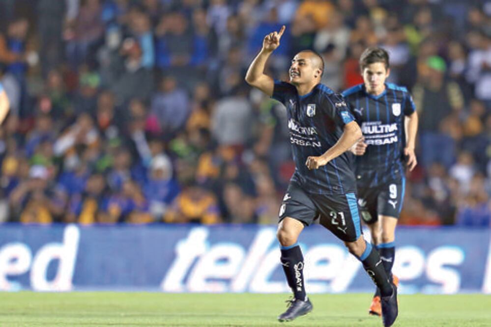 Gallos aguanta embate felino