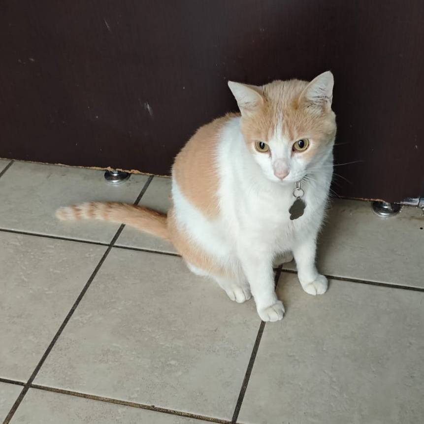 FOTO. TOMADA DE FACEBOOK