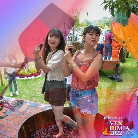 Vendimias de Querétaro. Calendario para disfrutar las fiestas de vino en 2022