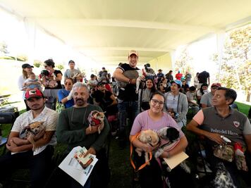 El Marqués es el primer municipio de Querétaro en financiar vacunas antirrábicas