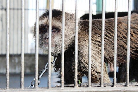 Incrementar sanciones