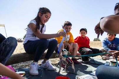Rehabilitación, terapia para niños con animales 