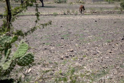 Alertan de sequía extrema en todo Querétaro