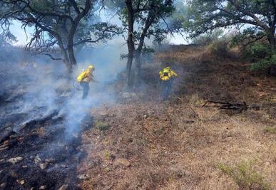 Se queman 266 hectáreas; en siete meses, se iguala el número de incendios del año pasado