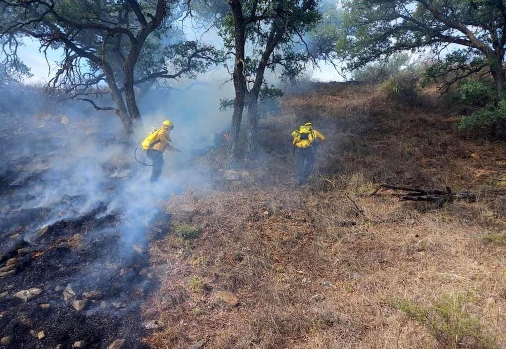 Se queman 266 hectáreas; en siete meses, se iguala el número de incendios del año pasado