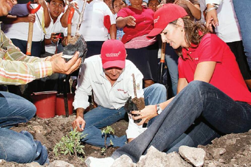 Impulsan estado verde