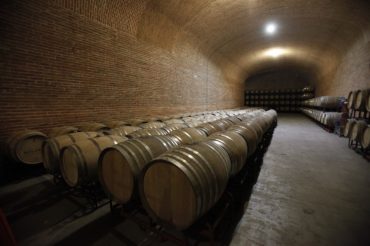 Fotos: Mario Valdés