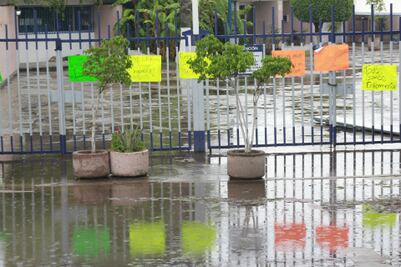 Paristas de LEF no pertenecen a la carrera, afirma coordinador