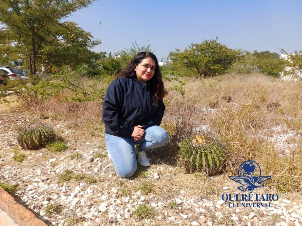 FOTO. DOMINGO VALDEZ