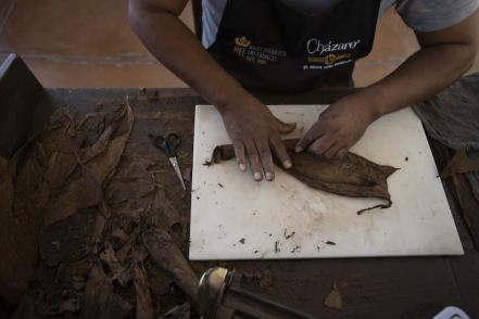 En este rincón de Querétaro, ven al tabaco como un medio de vida 
