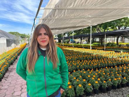 50 mil flores de cempasúchil están listas para pintar de naranja a Querétaro 