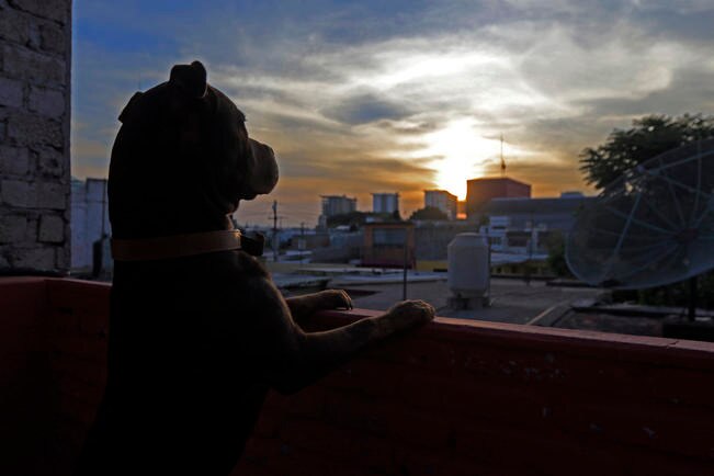 Fotod: César Gómez