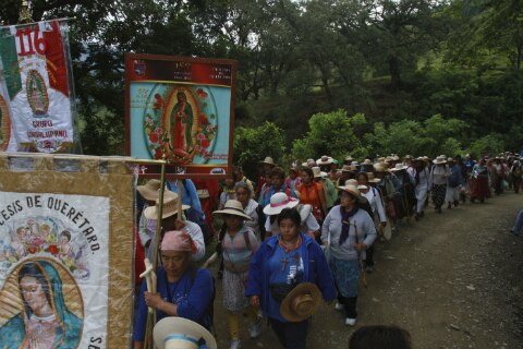 Regula Seseq a vendedores 