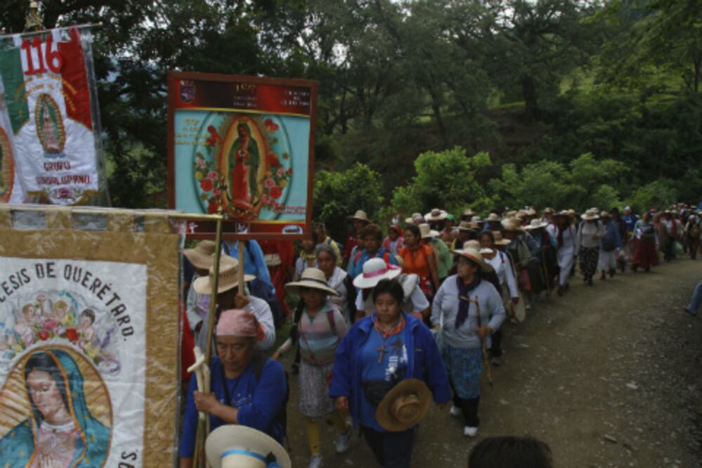 Regula Seseq a vendedores 