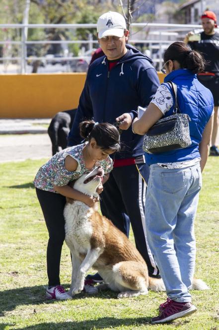 Adopción. Animales hallan una familia 