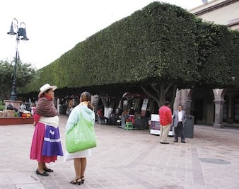  Niegan su origen por discriminación  