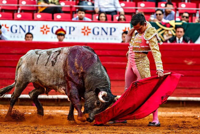 Piedras Negras, regreso soñado