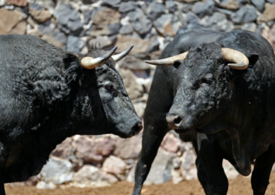 Bureles de Los Cues en Juriquilla