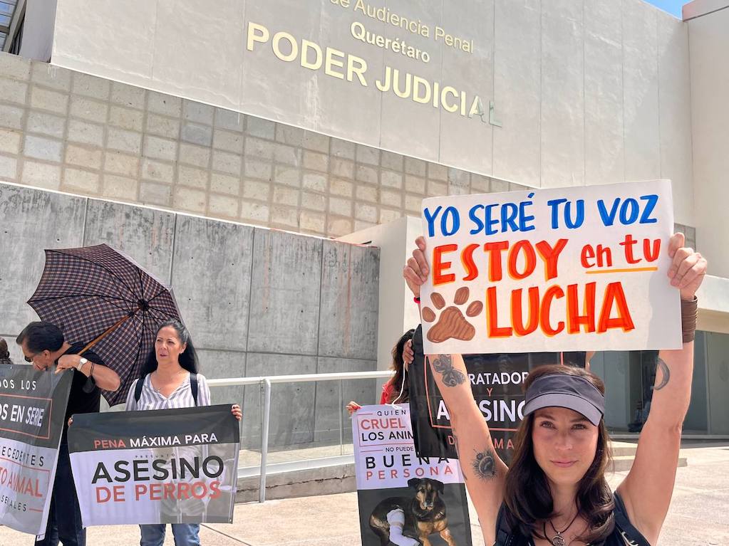Encuentran culpable a hombre que envenenó a Athos y Tango en Querétaro
