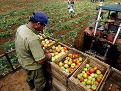 Crece 0.5% actividad económica