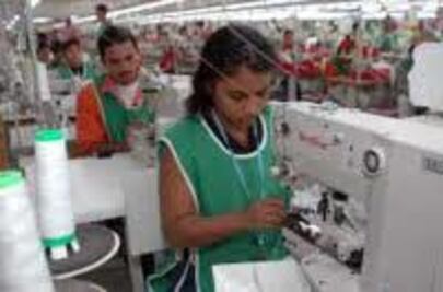 Ocho empresas no entregaron utilidades 