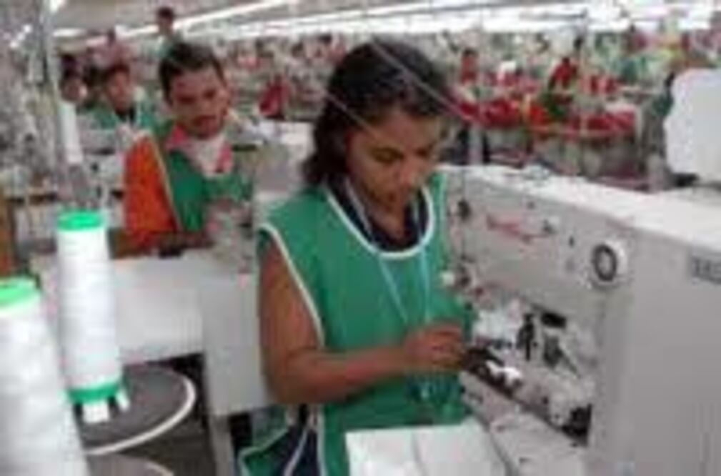 Ocho empresas no entregaron utilidades 