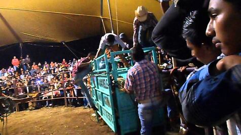 Buscan prohibir jaripeos y bailes