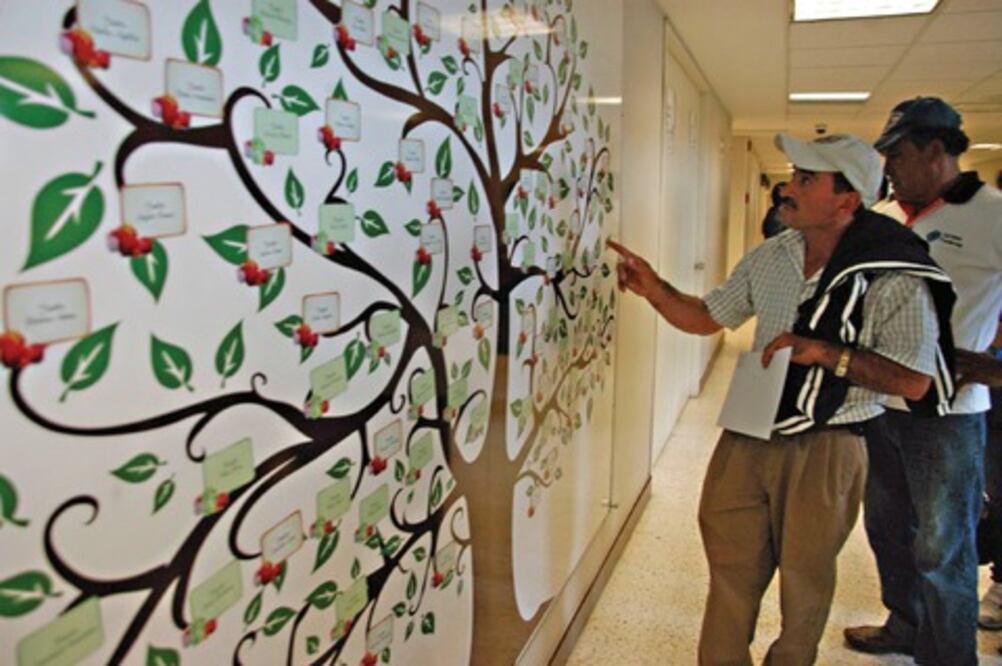 Crean padrón de donadores de órganos