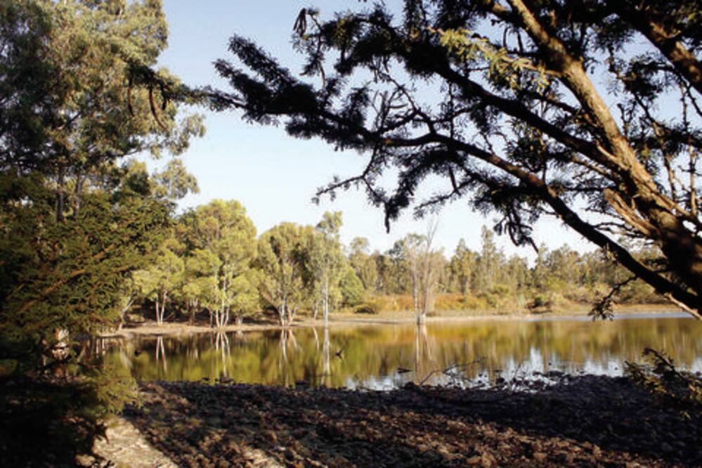 Invitan a  actividades por Día de la Tierra en El Cimatario