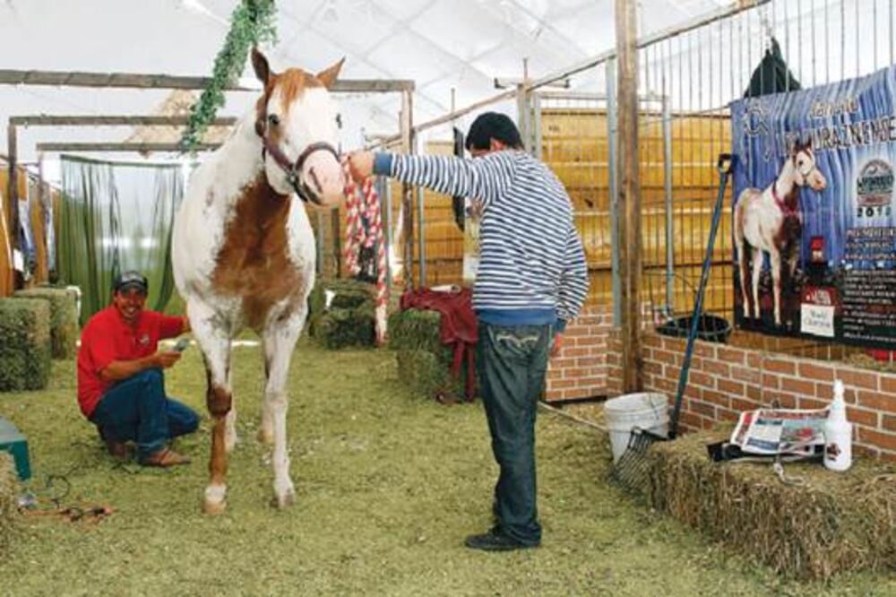 Su valor está en los genes