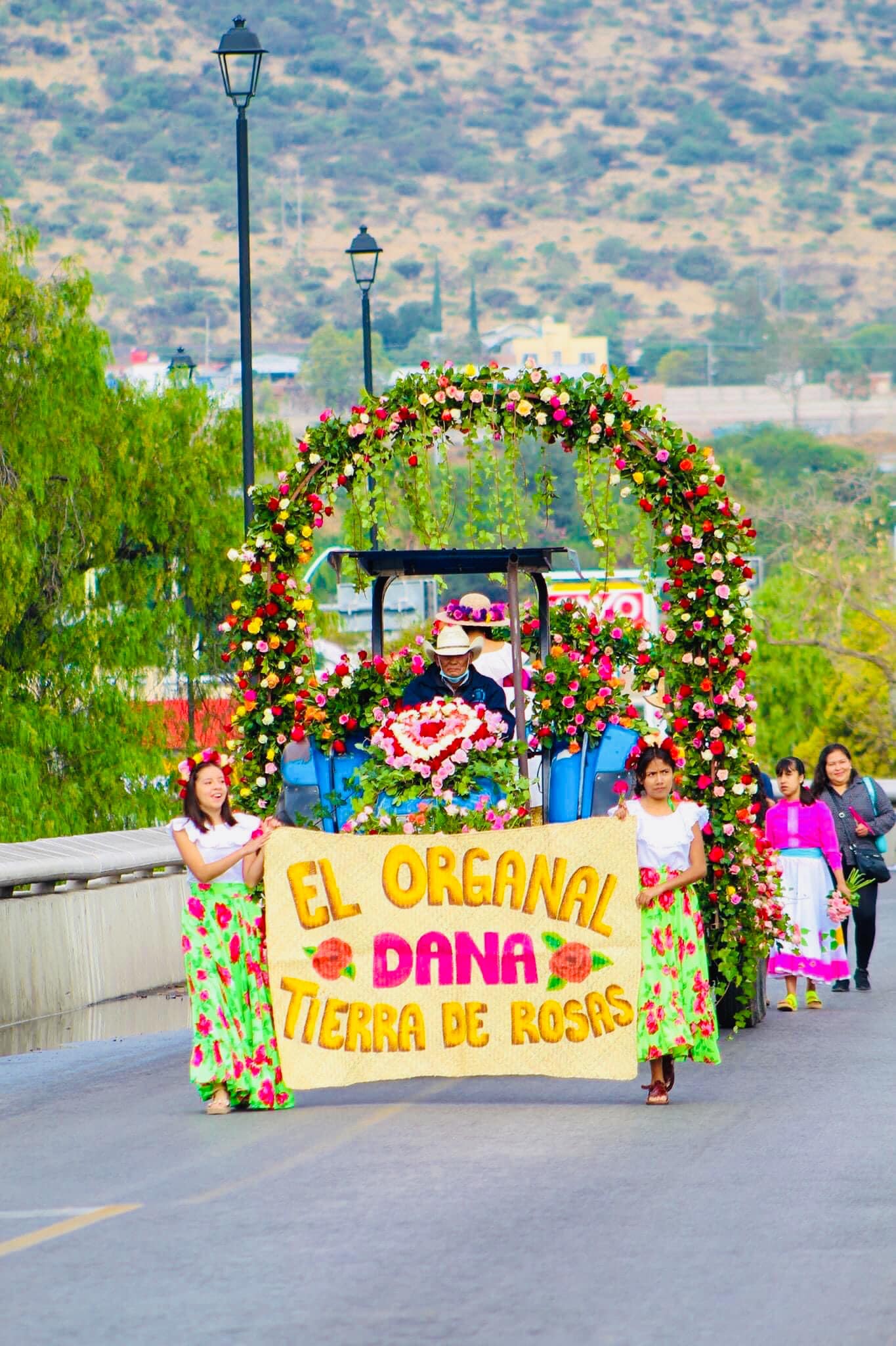 Foto: Facebook El Organal, San Juan del Río, Querétaro.