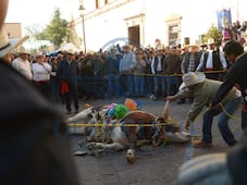 Paseo del Buey en Corregidora: fe y devoción heredada