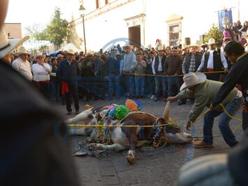 Paseo del Buey en Corregidora: fe y devoción heredada