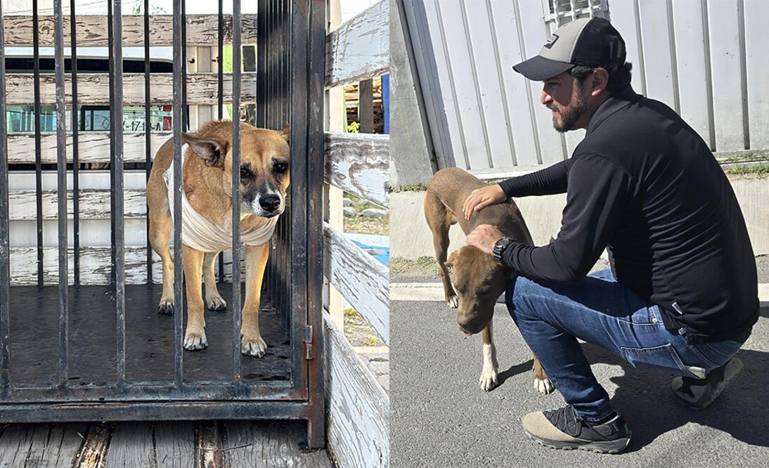 Foto: Captura de pantalla