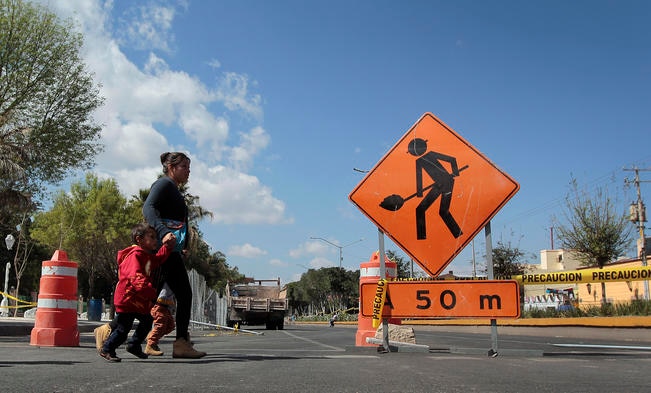 Trasplantarán 50% de árboles para construir Qrobús