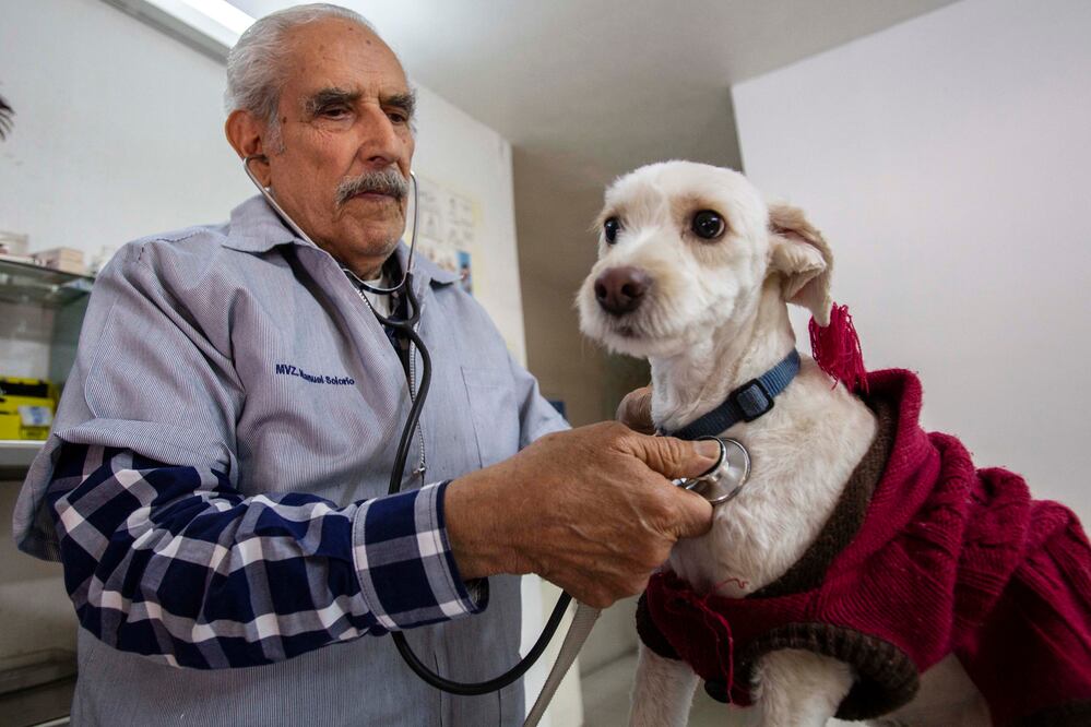 Foto: Demian Chávez