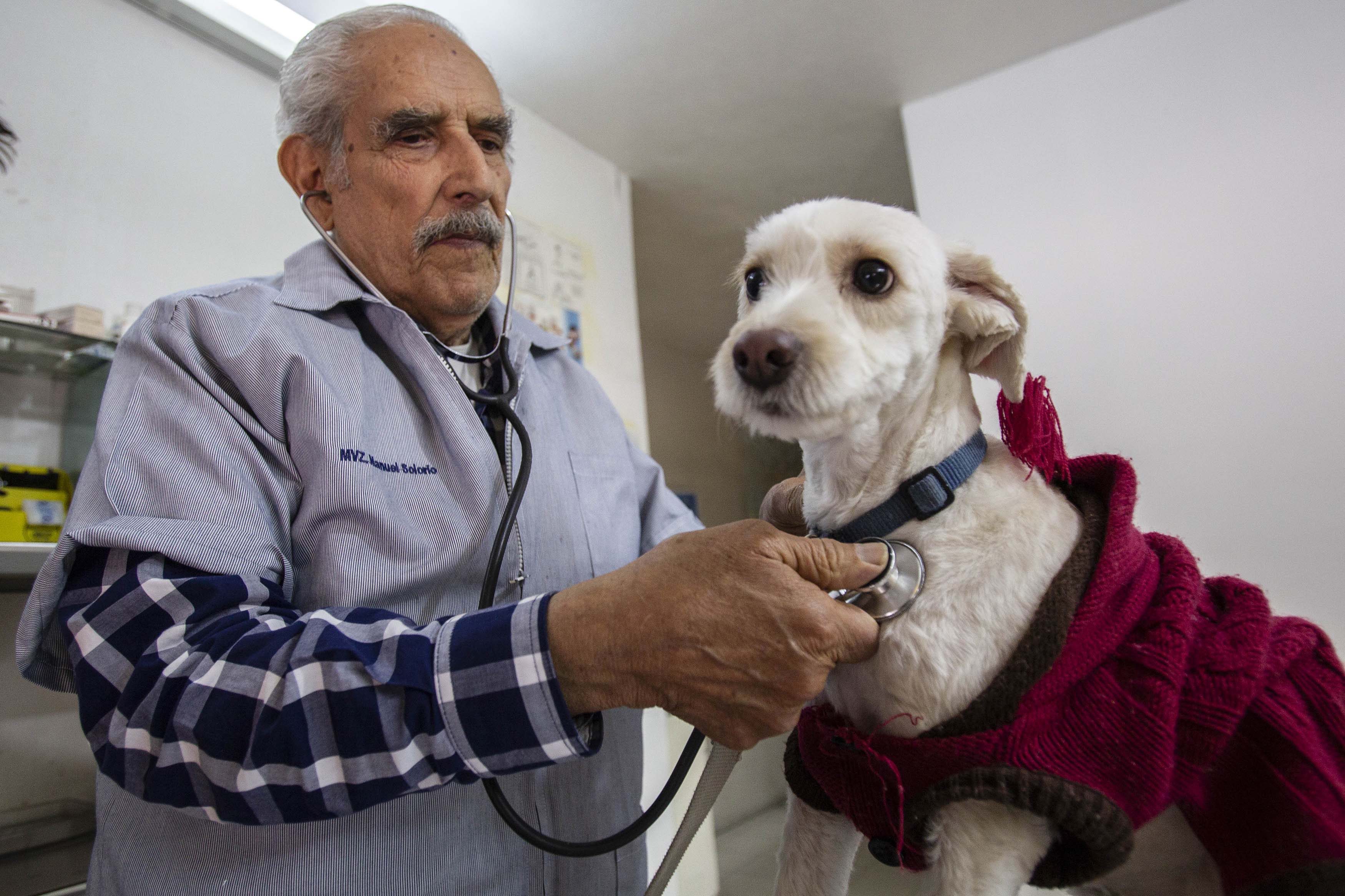 Males caninos. Crece cultura preventiva en mascotas