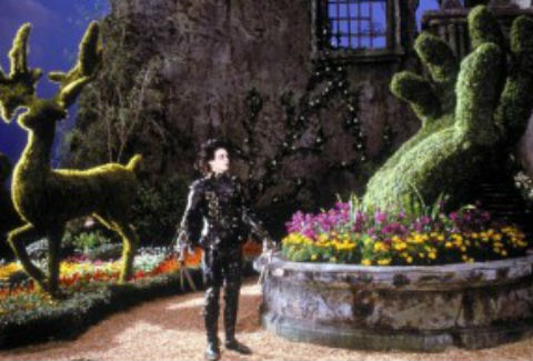 Bautizan Johnny Depp a fósil marino