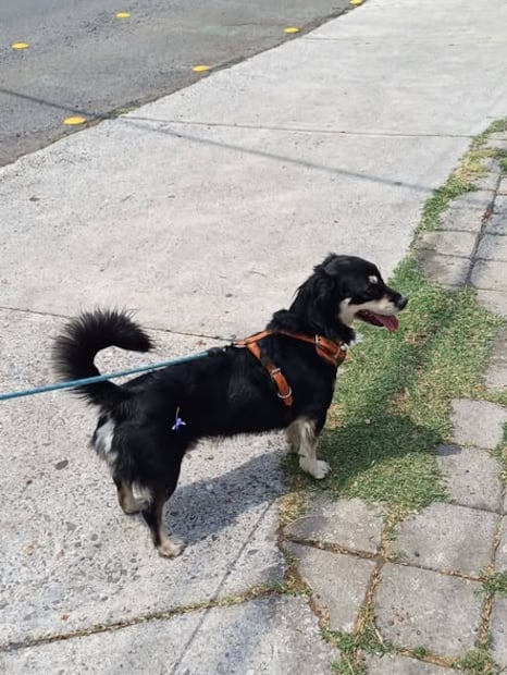 FOTO. TOMADA DE FACEBOOK