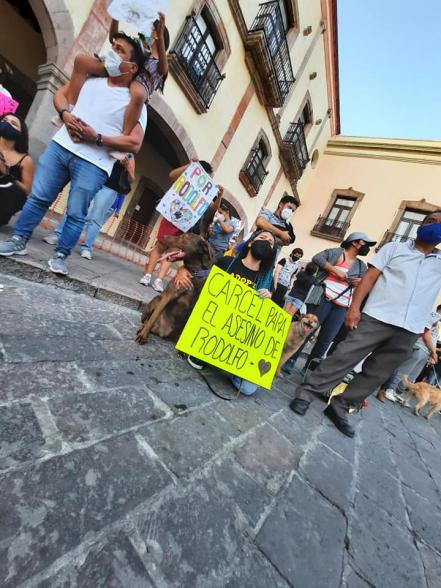 "Ni una patita más", gritan en Querétaro para pedir justicia por Rodolfo Corazón 