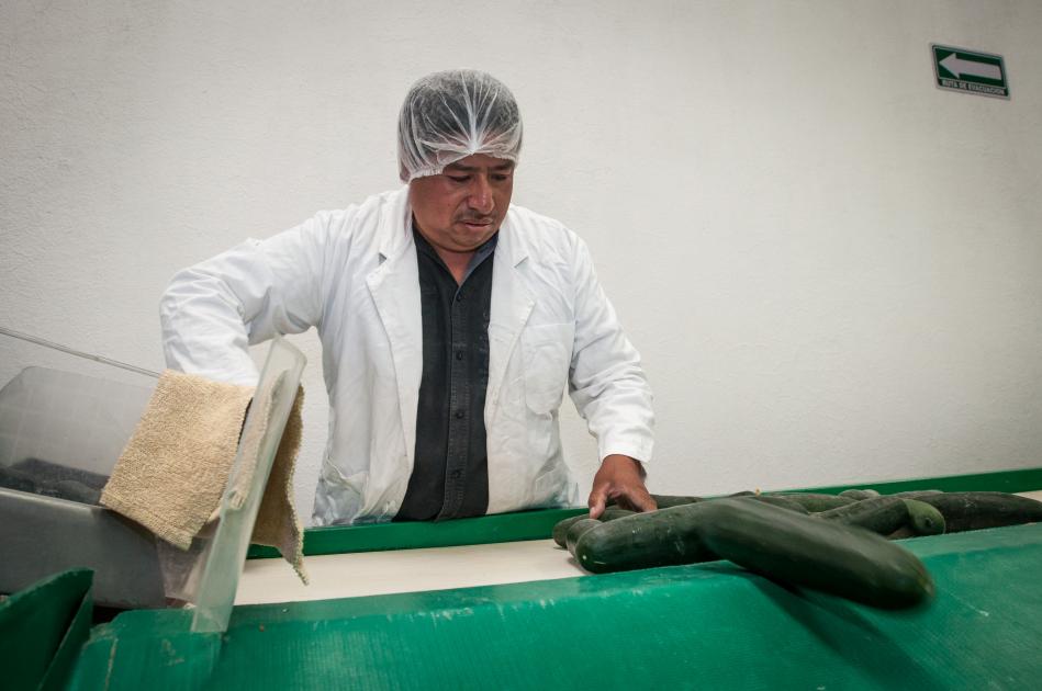 Productos agrícolas con calidad de exportación