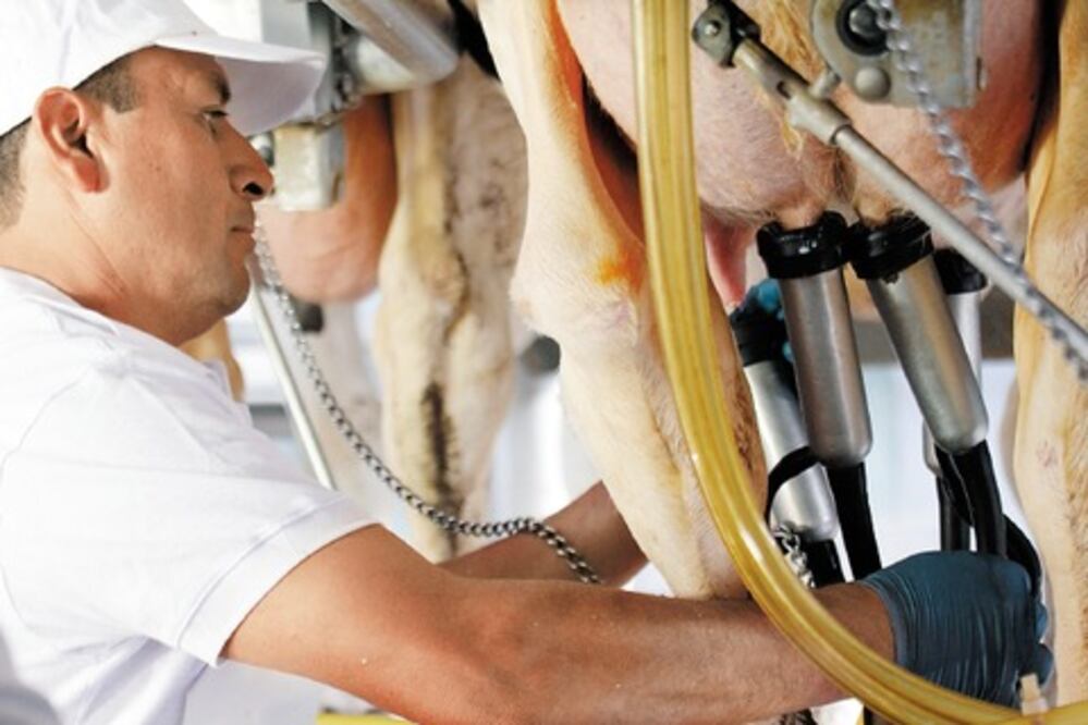 Busca Alpura fortalecer presencia