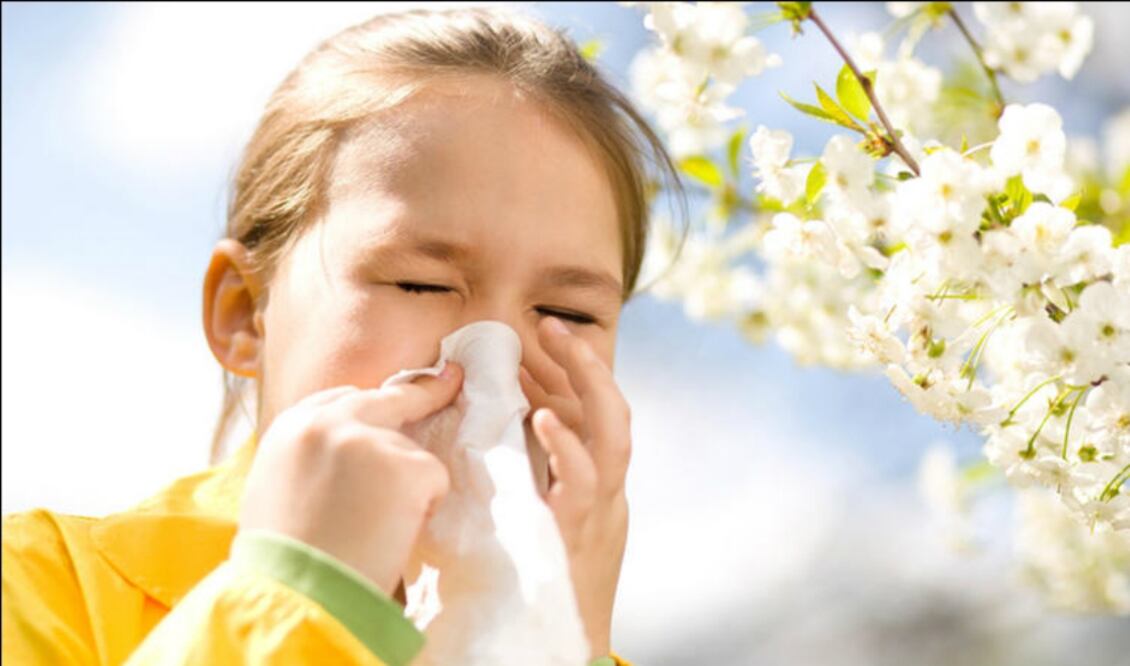 FOTO: Archivo El Universal