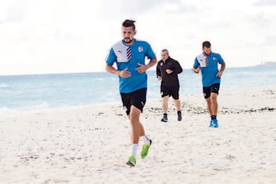 Gallos, con más bríos