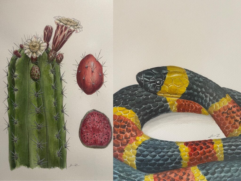 La esencia viva de la Sierra Gorda