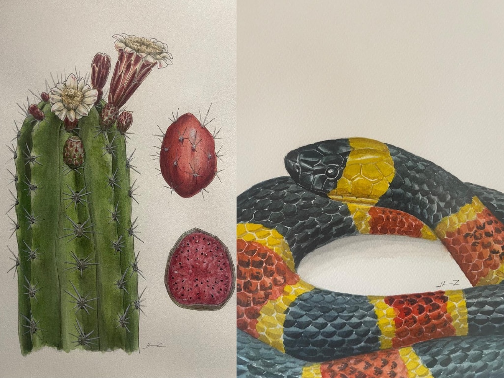 La esencia viva de la Sierra Gorda