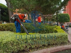 Mantienen en buenas condiciones áreas verdes e infraestructura