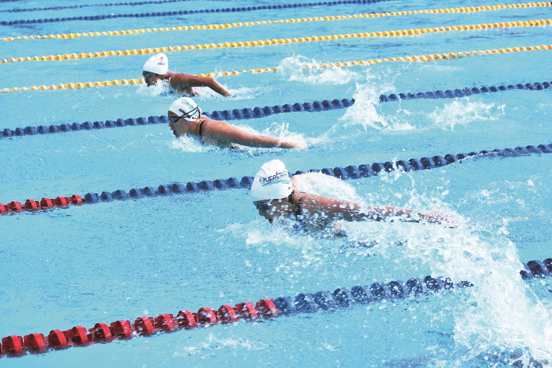 Buenos resultados de natación en Olimpiada Nacional
